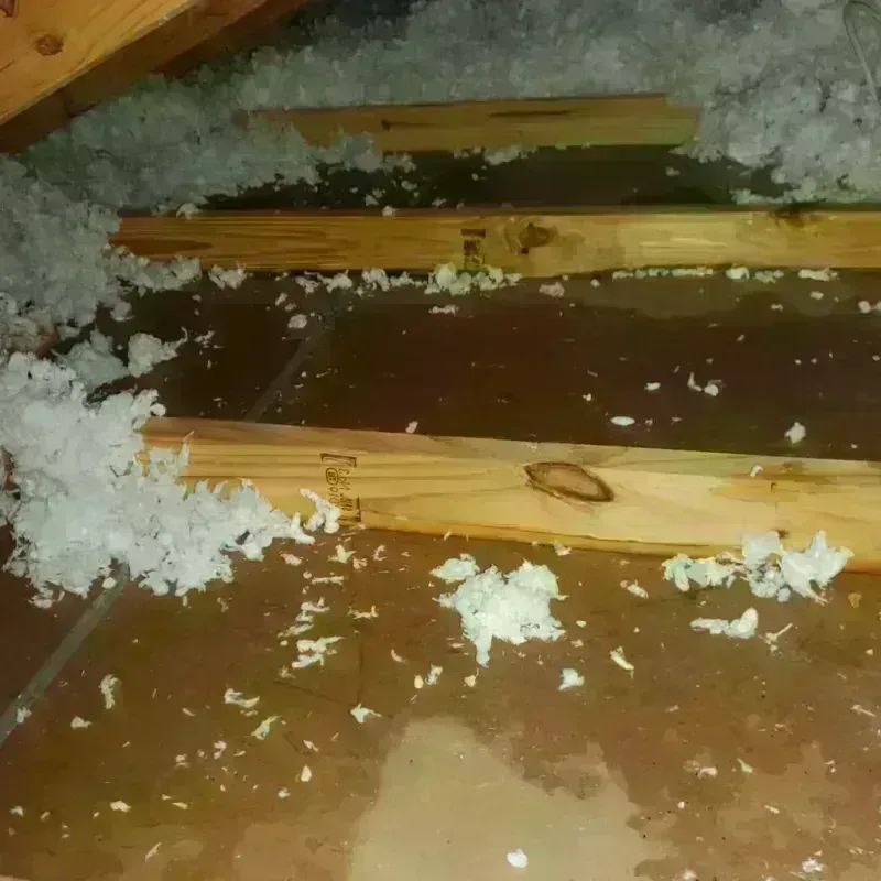 Attic Water Damage in Fauquier County, VA